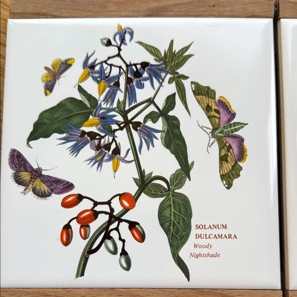 Portmeirion Botanical Cheese Board with Knife - Picture 5 of 5